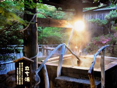 Iyashi-No-Sato Kiyashiki Hotel Minamioguni Eksteriør billede